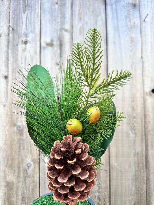 Evergreen needle pines w.rosehips,   31765