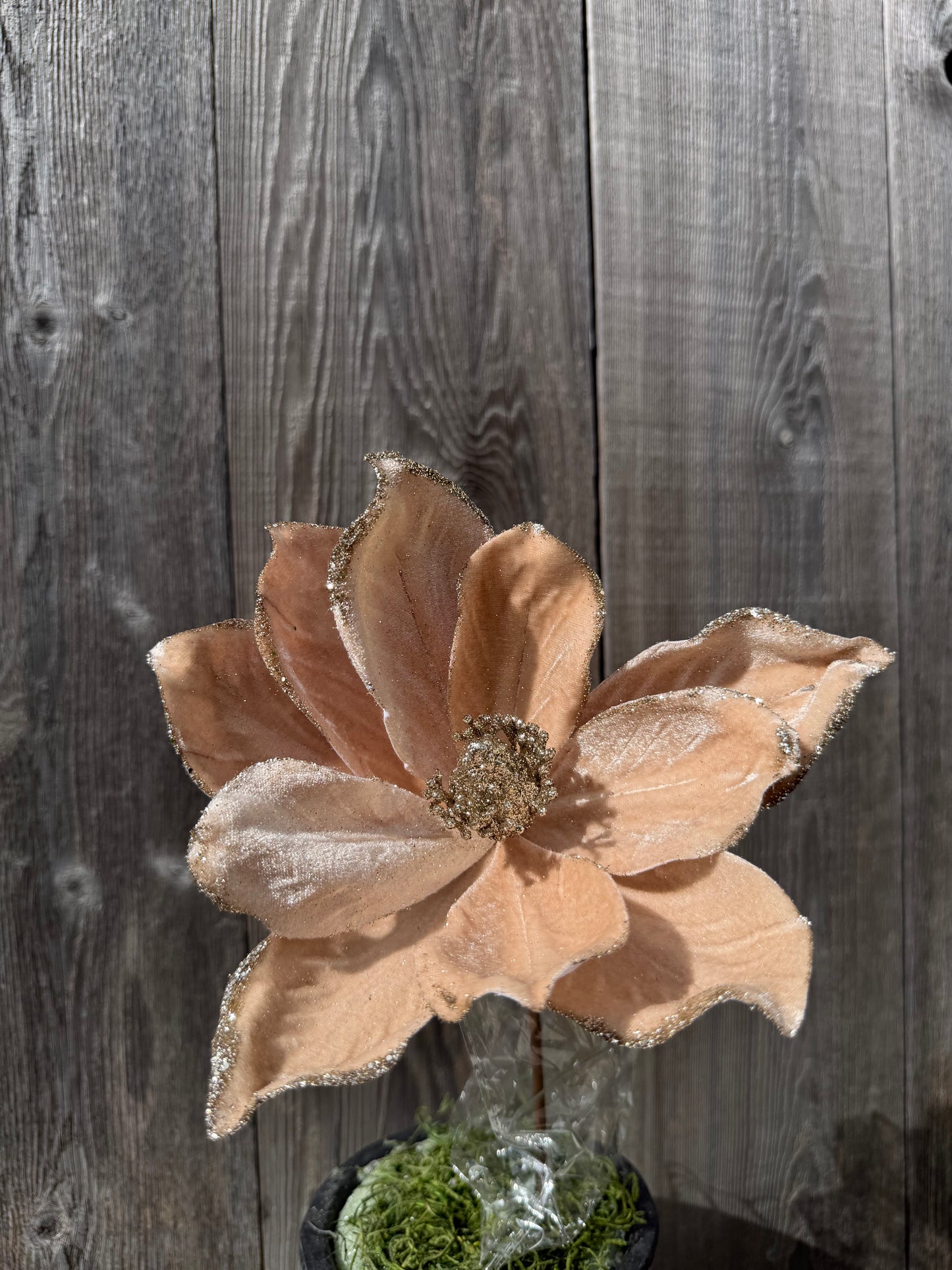 Magnolia Stem H8xDIA7   86868CH