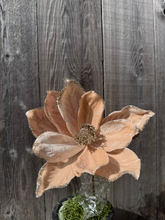 Magnolia Stem H8xDIA7   86868CH