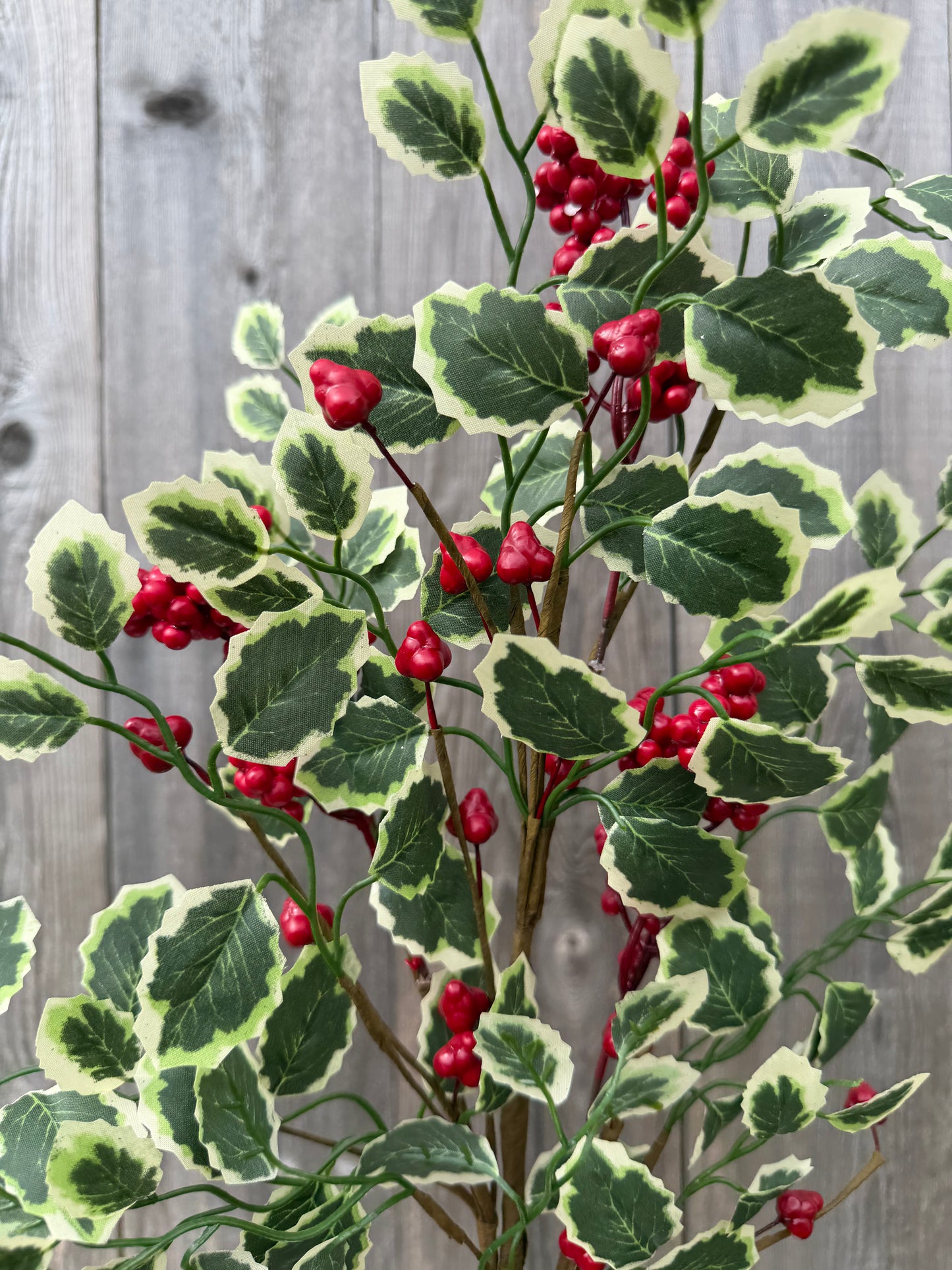 Berry Variegated Lvs Spray H28   86816RDGN