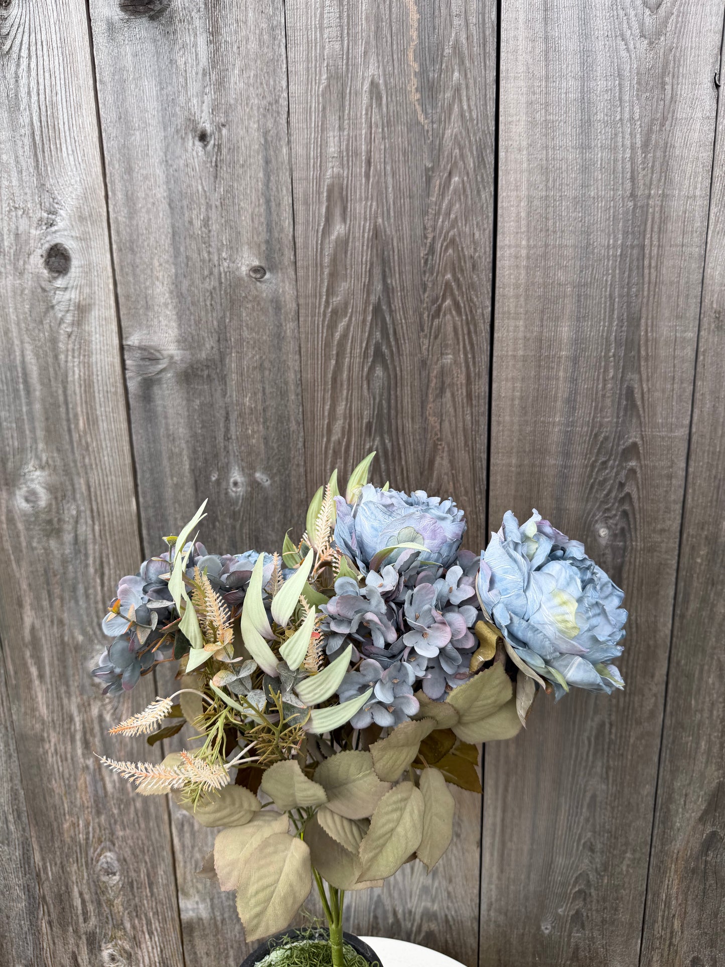 Peony Hydr Bush x10 H19   57451BL