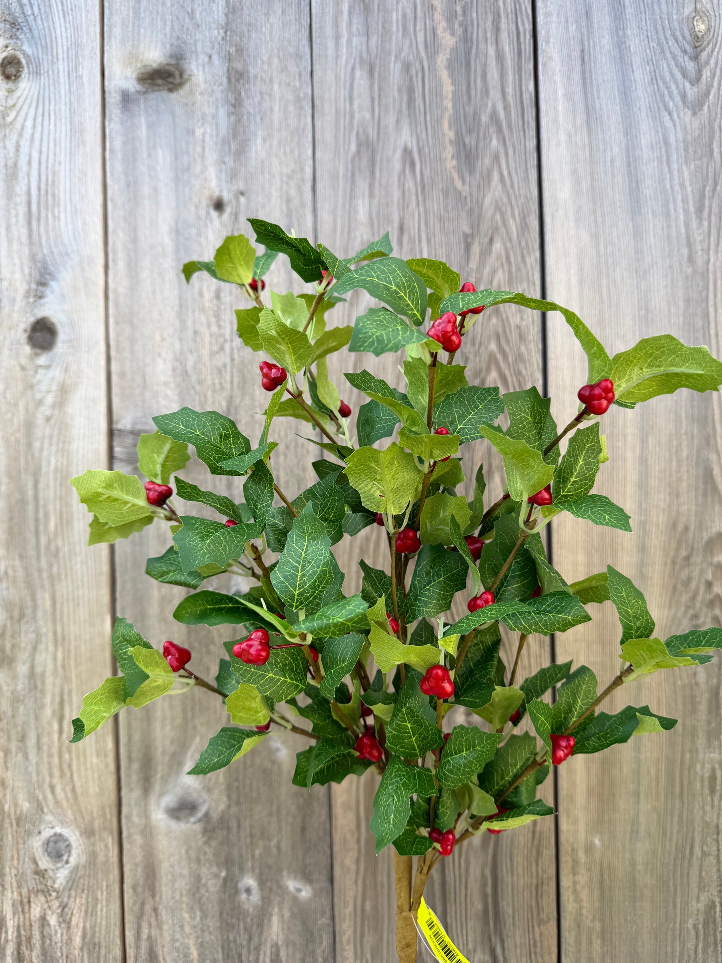 Berry Lvs Spray H28  86818RDGN