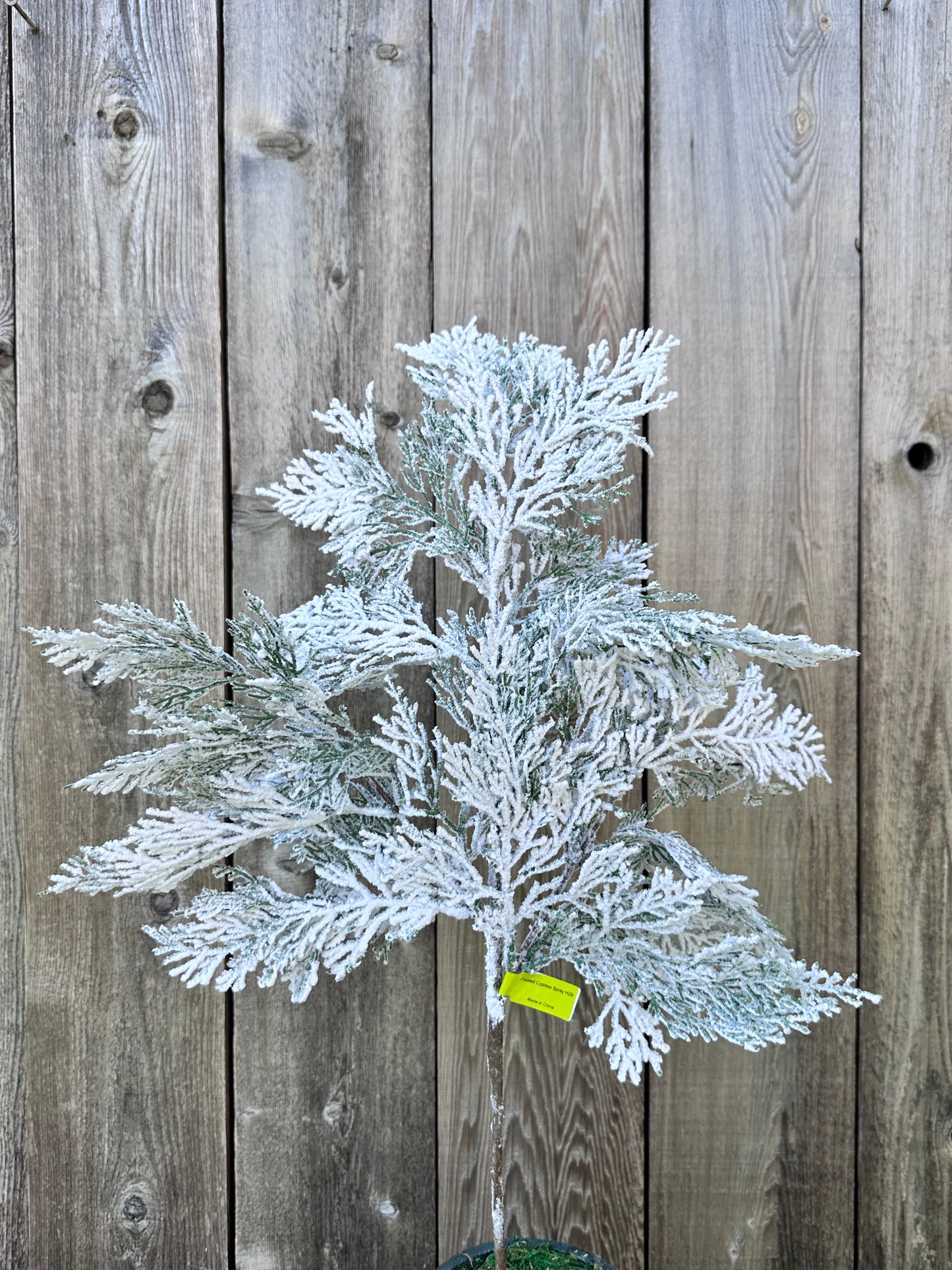 Flocked Cypress Spray   86018SNOW