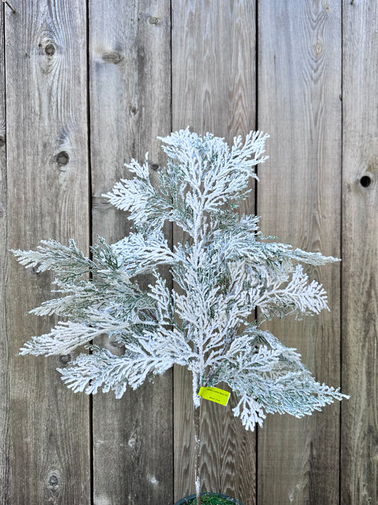 Flocked Cypress Spray   86018SNOW