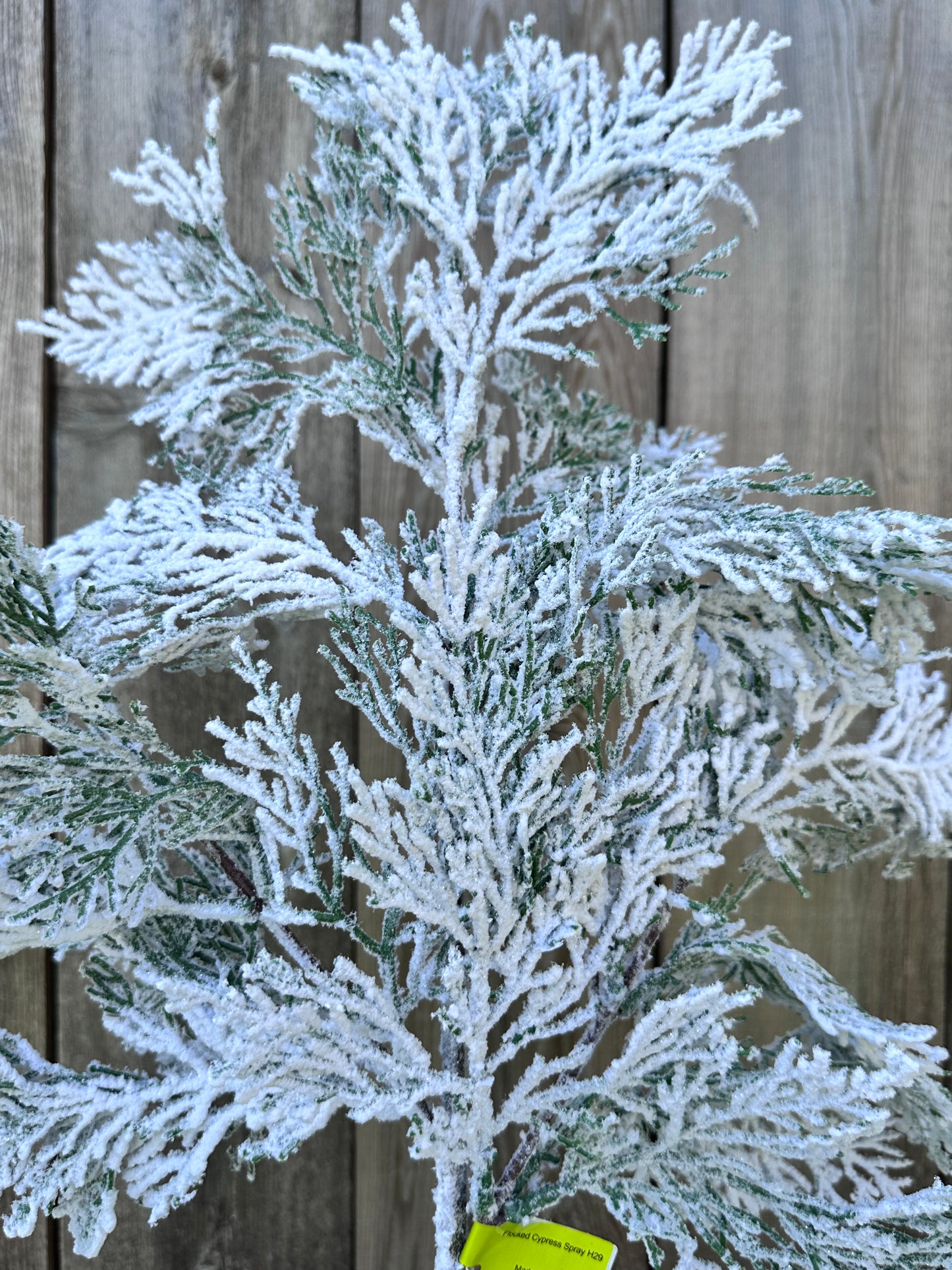 Flocked Cypress Spray   86018SNOW
