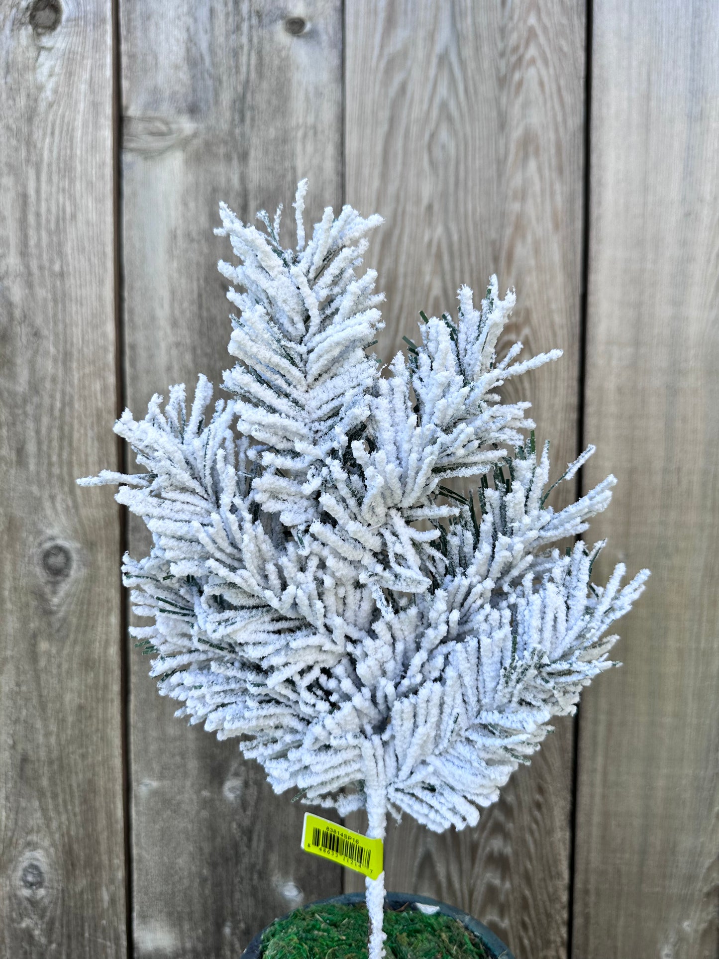 KIRKWOOD PINE PICK   83814SP16