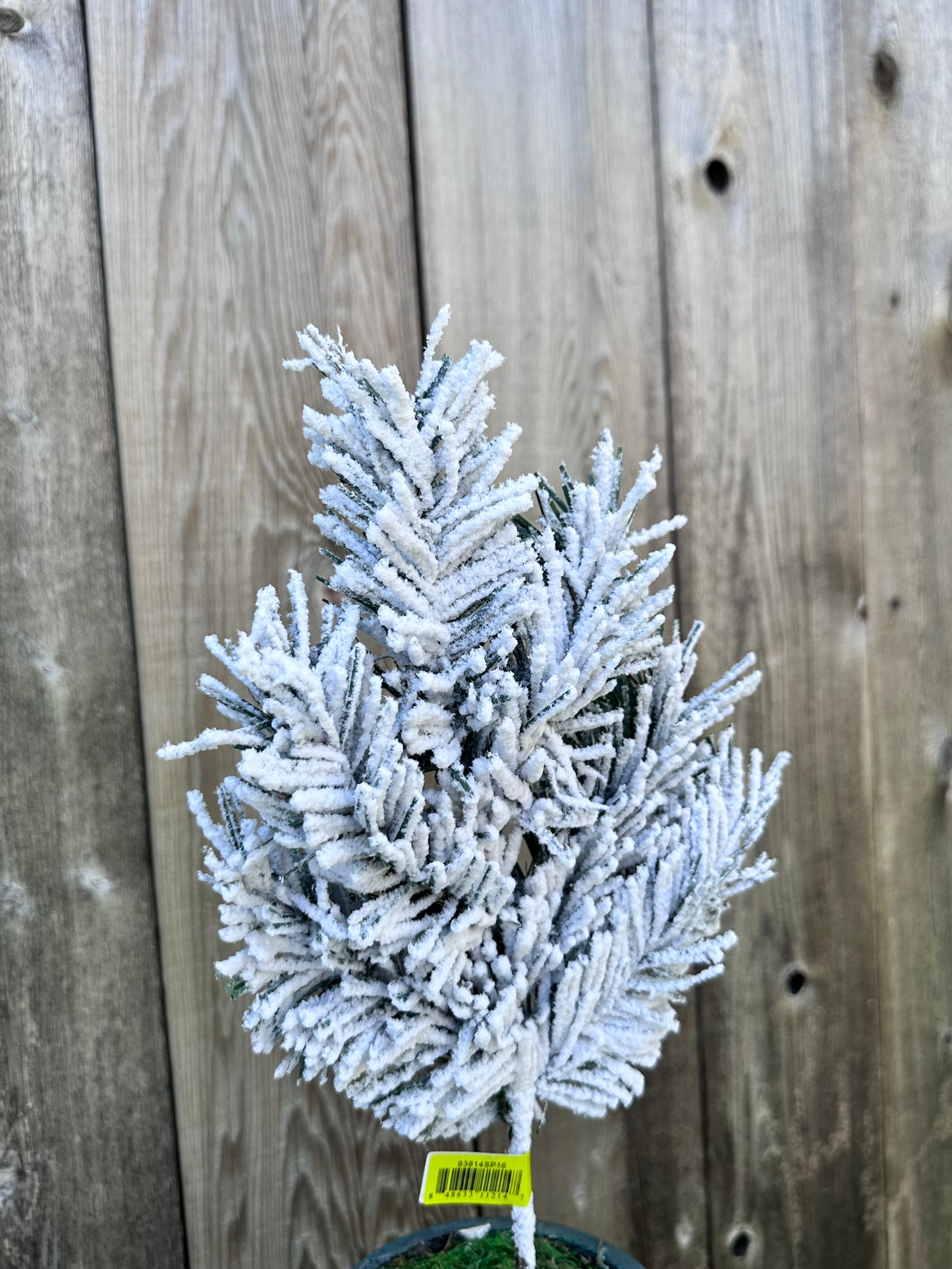 KIRKWOOD PINE PICK   83814SP16
