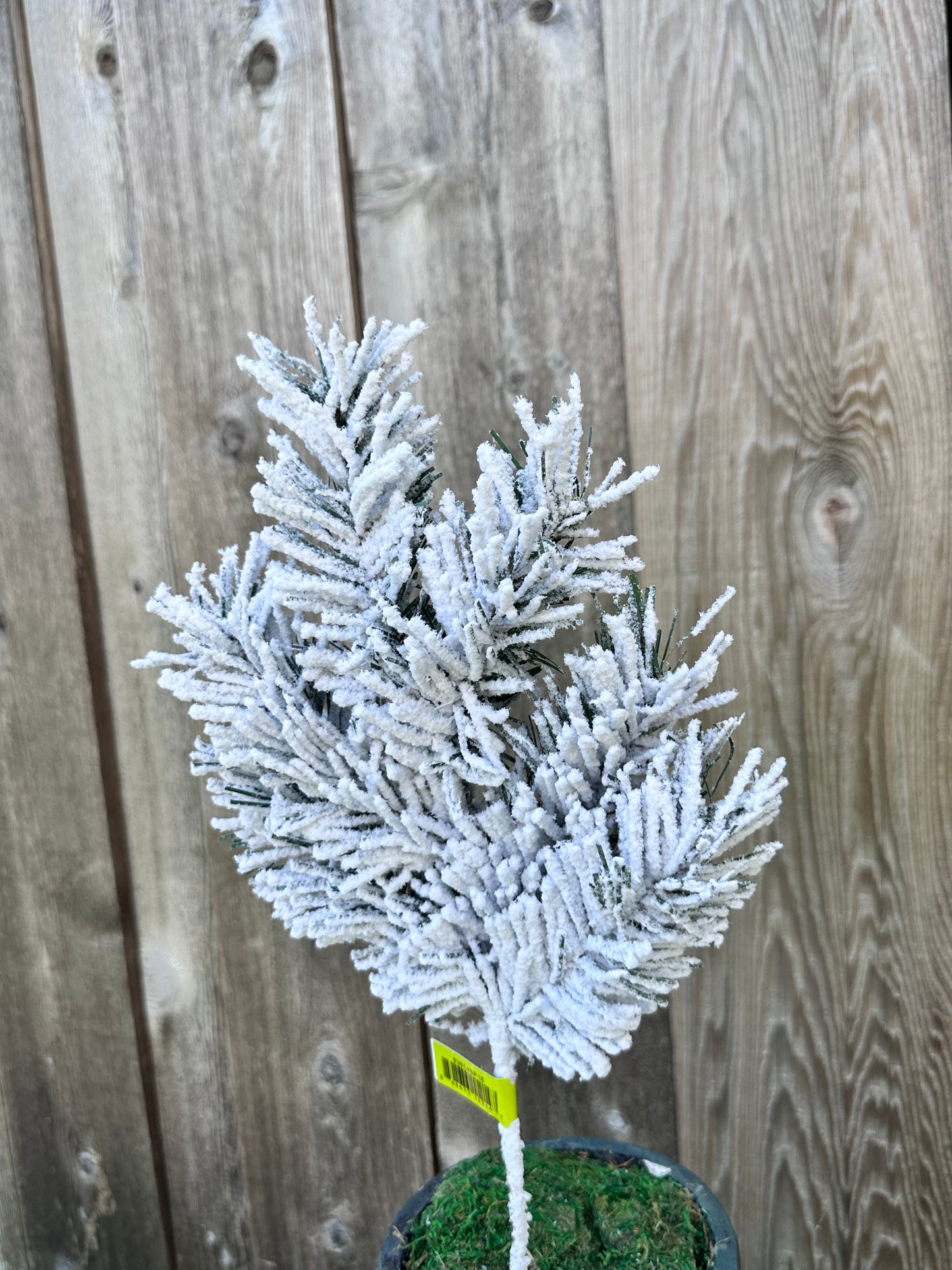 KIRKWOOD PINE PICK   83814SP16