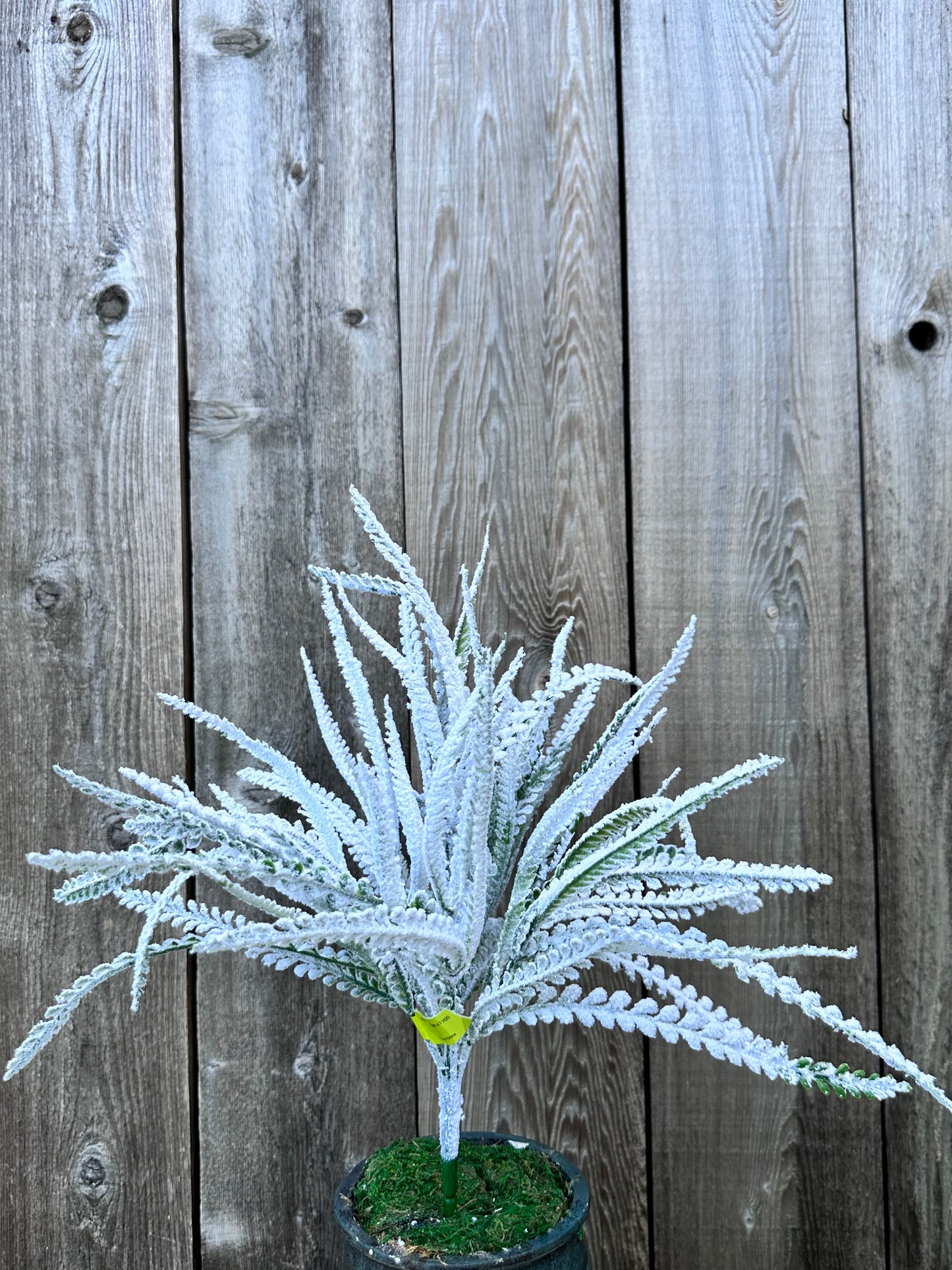 Plastic Lvs Bush   86616SNOW