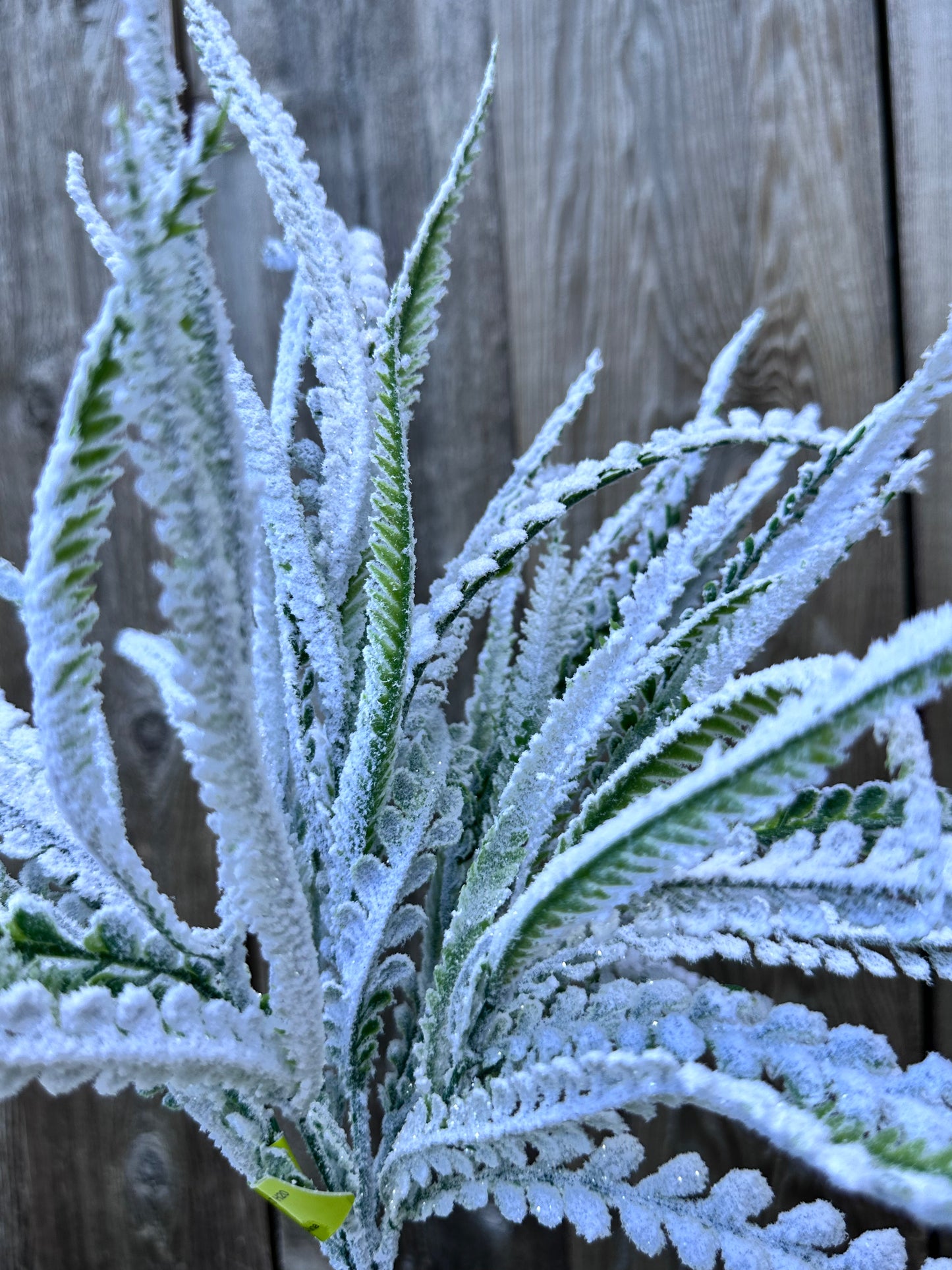 Plastic Lvs Bush   86616SNOW
