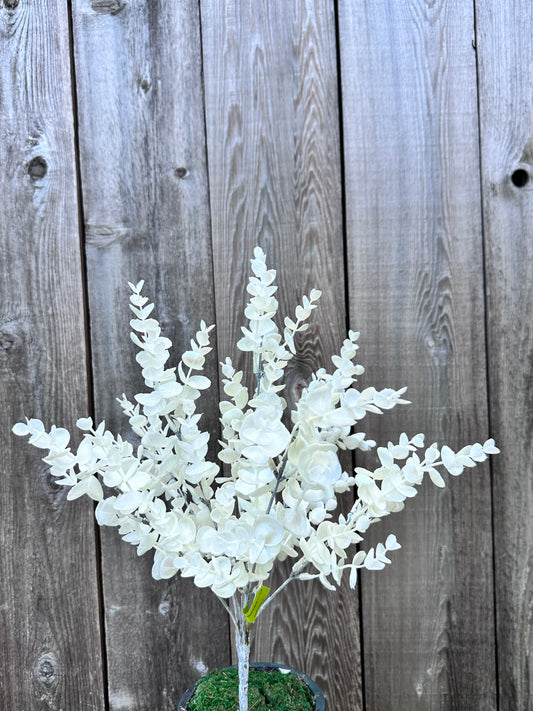 Eucalyptus Bush     86385WT