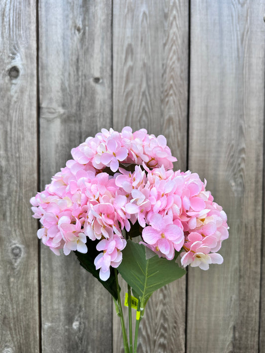 Hydrangea Bush   57328PK