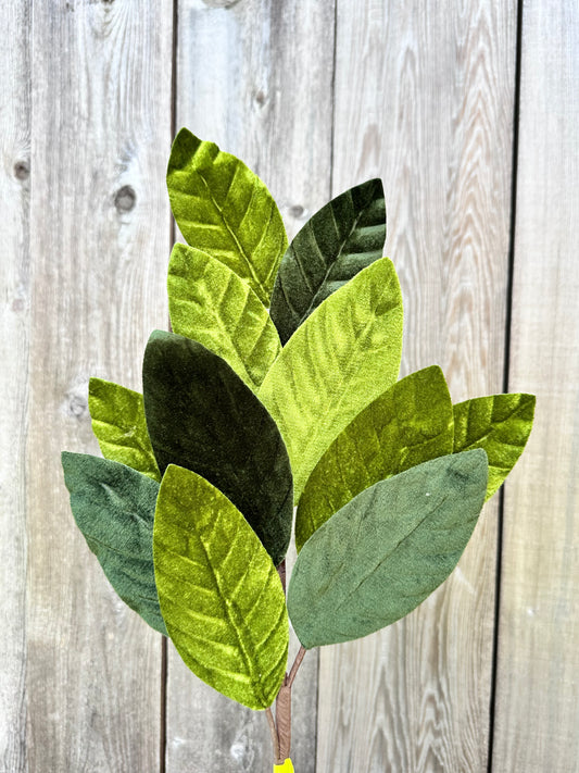 Velvet Magnolia Leaf Spray   84602SP25