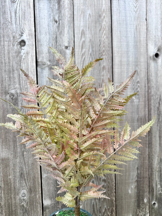 21 IN FERN BUSH    85360-UV-AUTUM