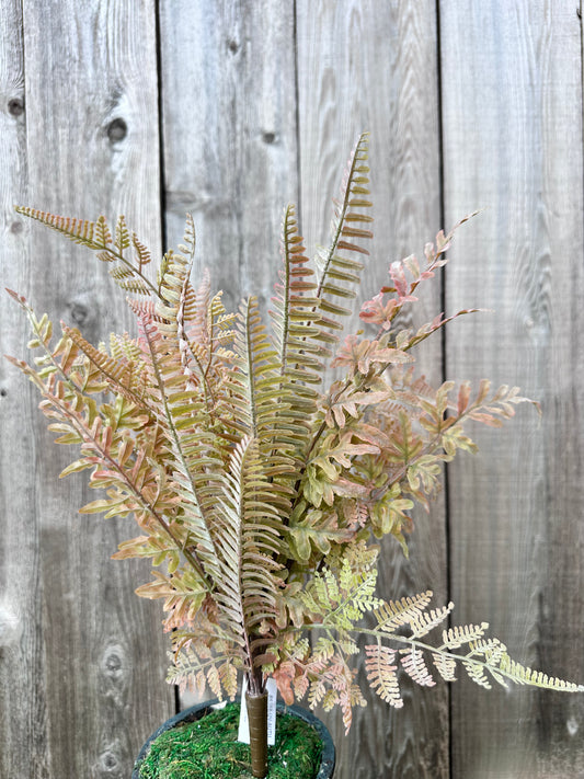 MIXED FERN BUSH    85368-UV-AUTUM