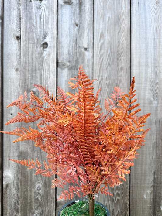 MIXED FERN BUSH    85368-UV-OR