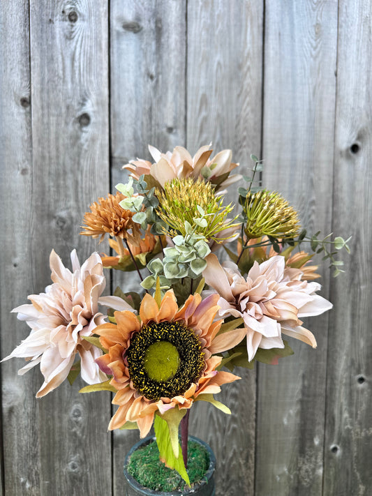 MIXED DAHLIA SUNFLOWER    83614-LT.BRN