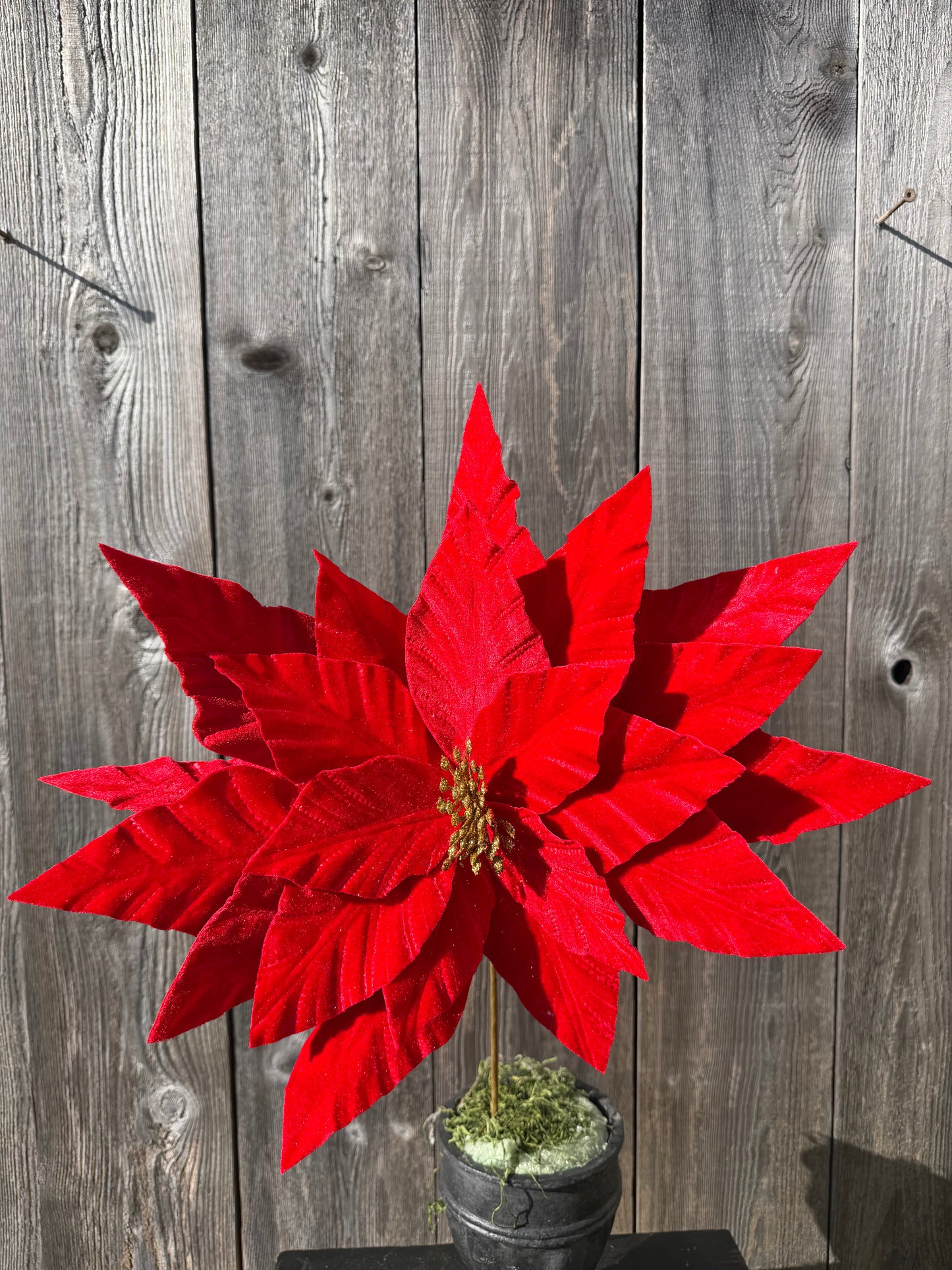 15 IN VELVET POINSETTIA STEM   40474