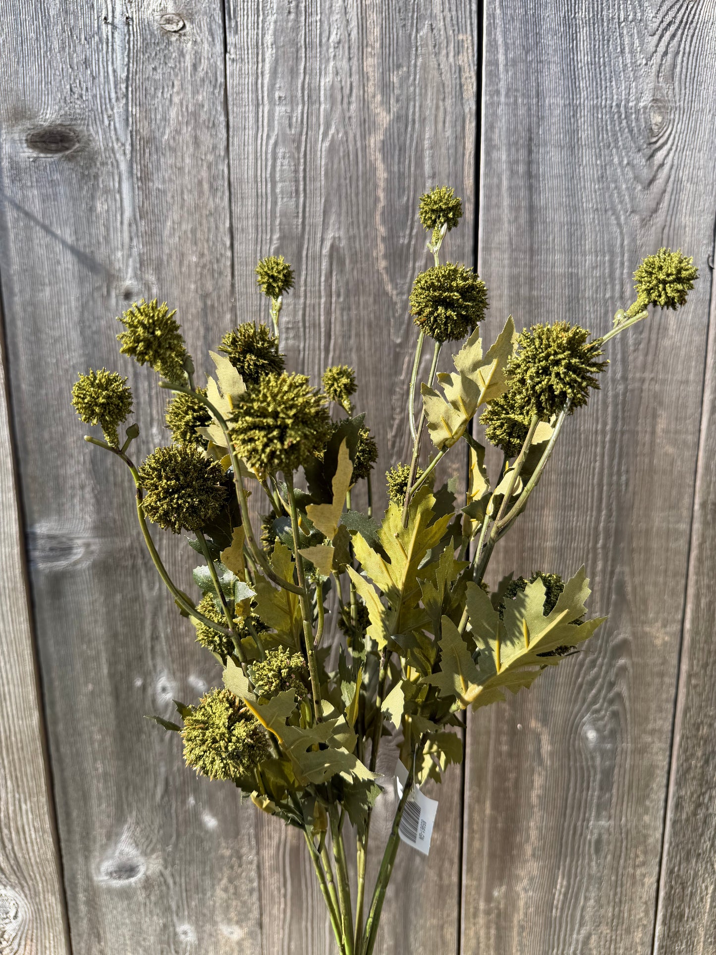 21 IN THISTLE BUSH X 8   85961-GN