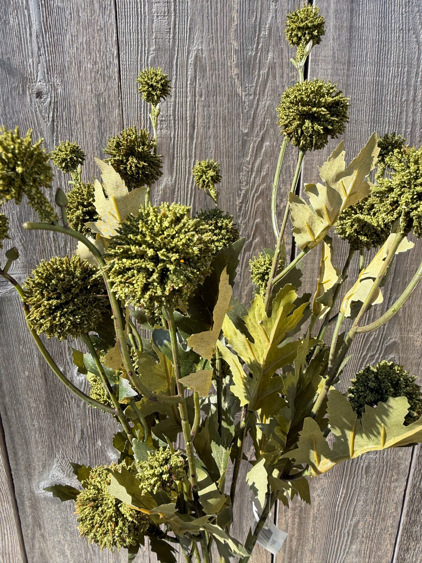 21 IN THISTLE BUSH X 8   85961-GN