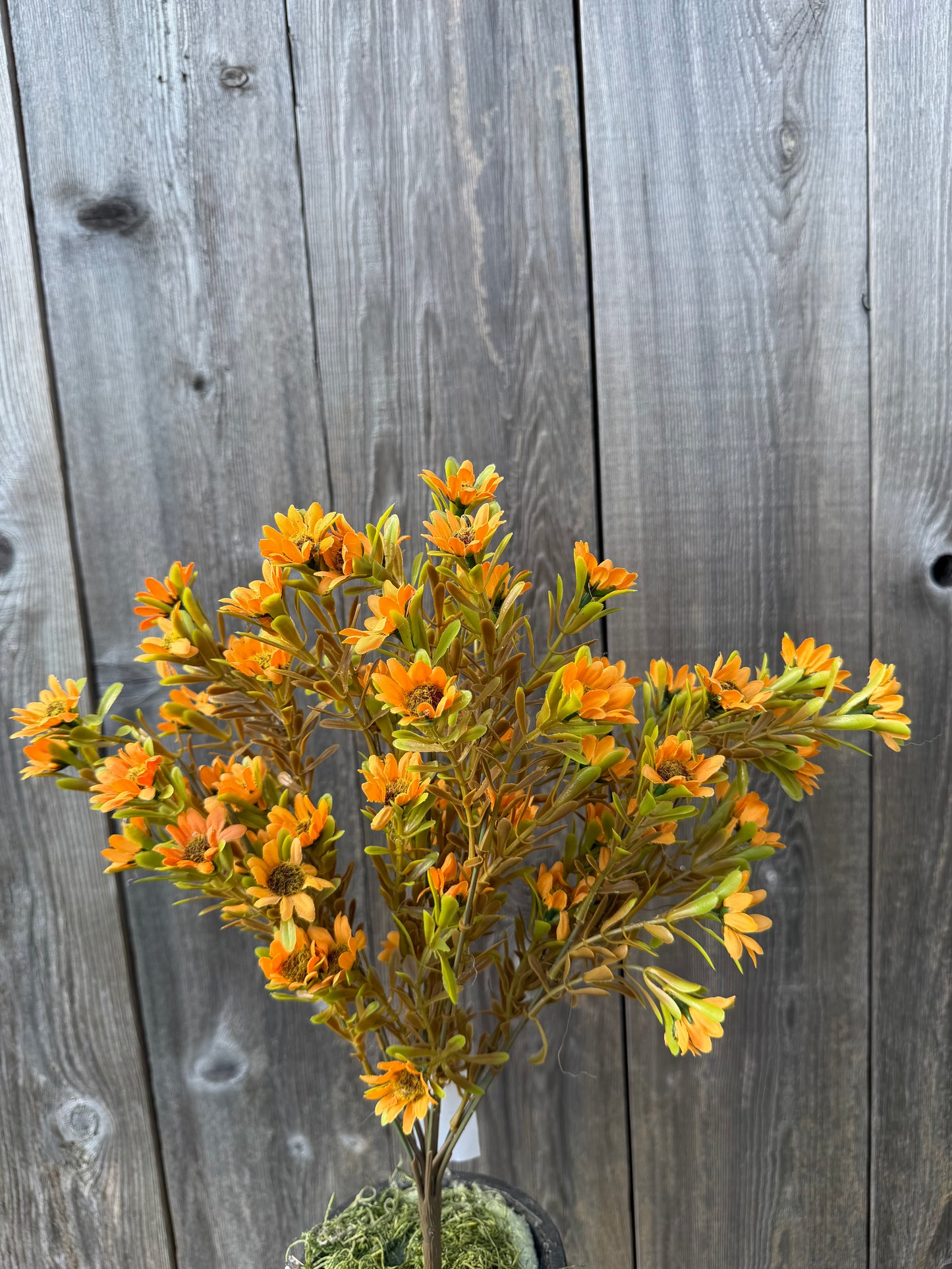 17 IN DAISY BUSH X 12   85963-YEL