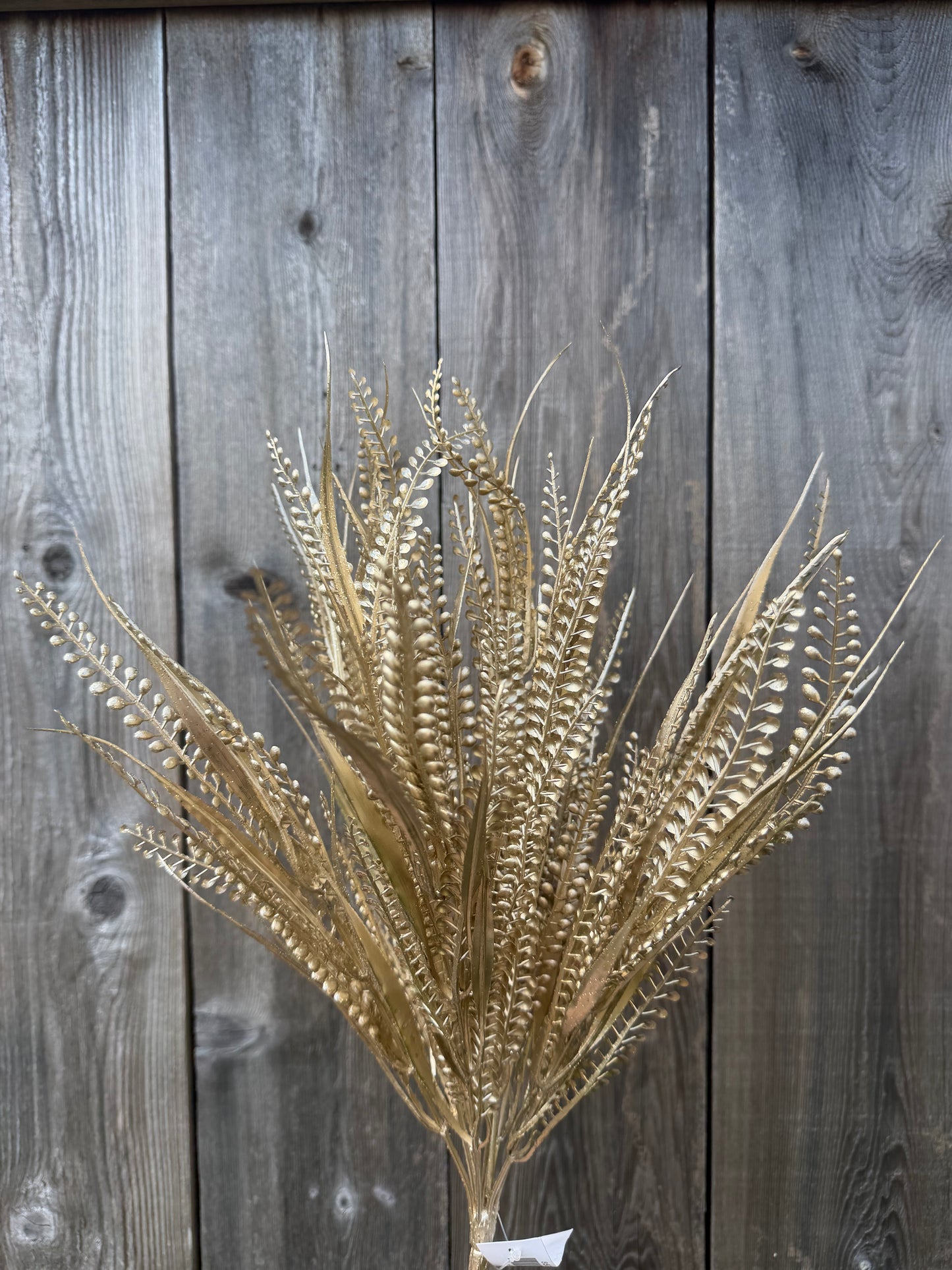 PLASTIC BUTTON FERN     85797-CHAMP