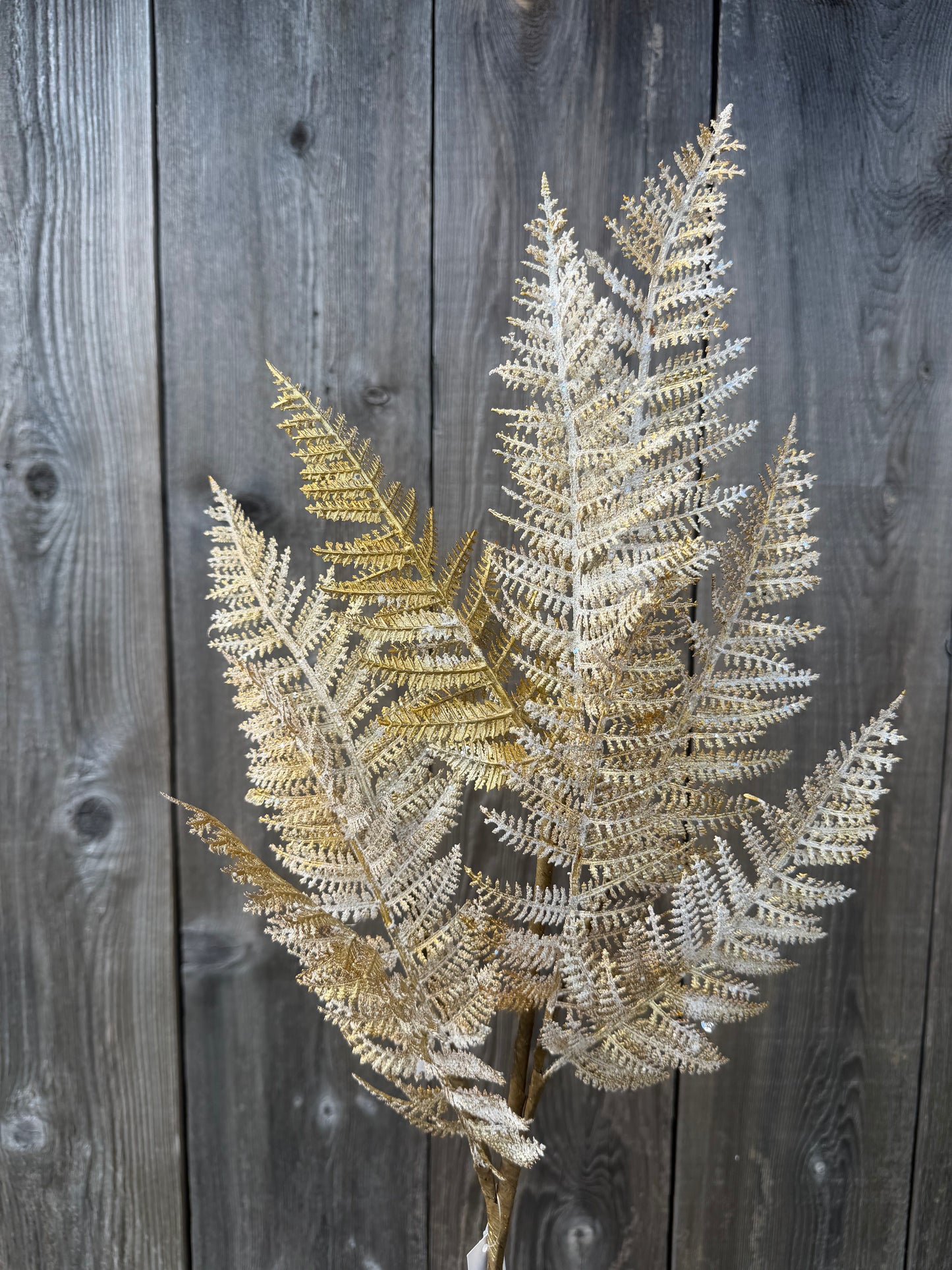 29 IN FERN SPRAY FROST W GOLD   32141