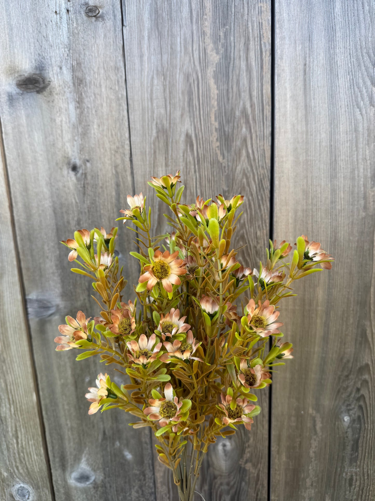 17 IN DAISY BUSH X 12   85963-BRN