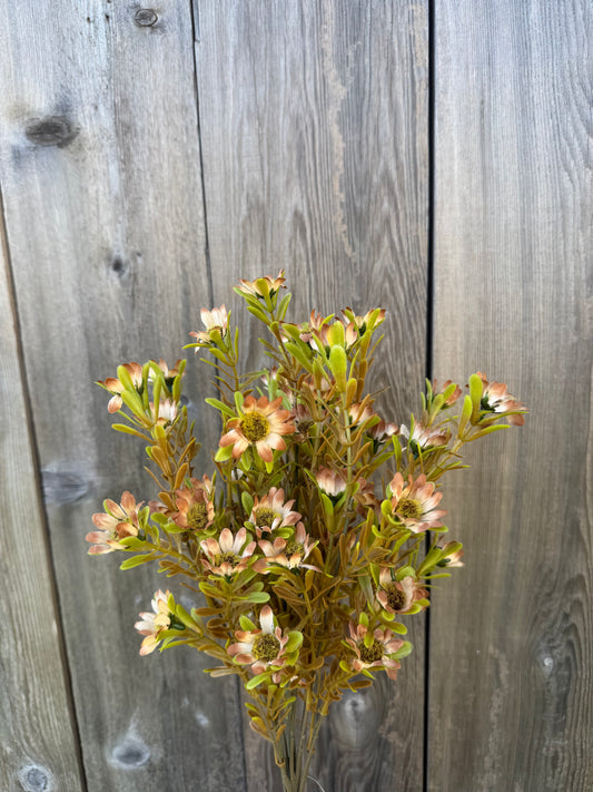 17 IN DAISY BUSH X 12   85963-BRN
