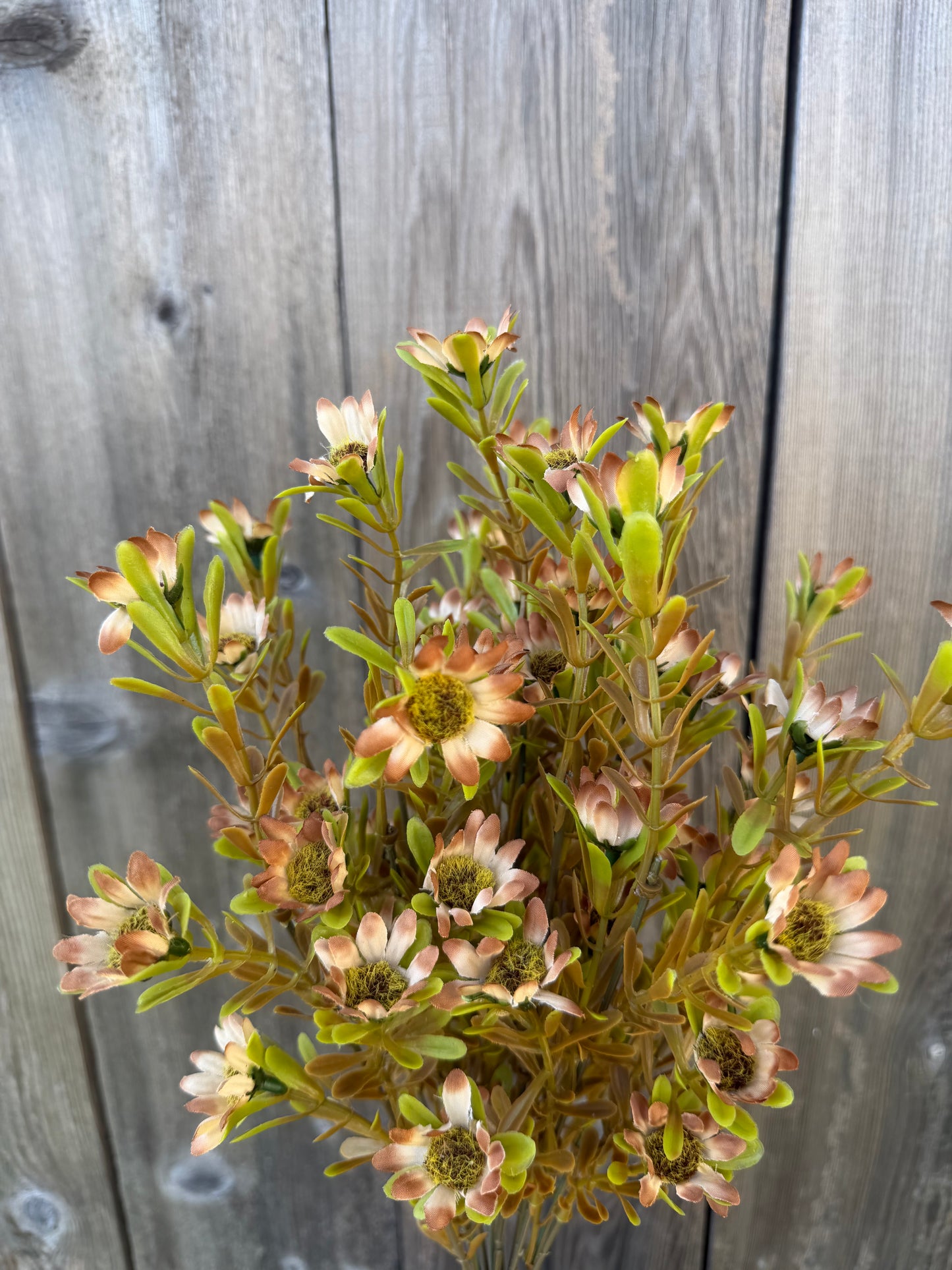 17 IN DAISY BUSH X 12   85963-BRN