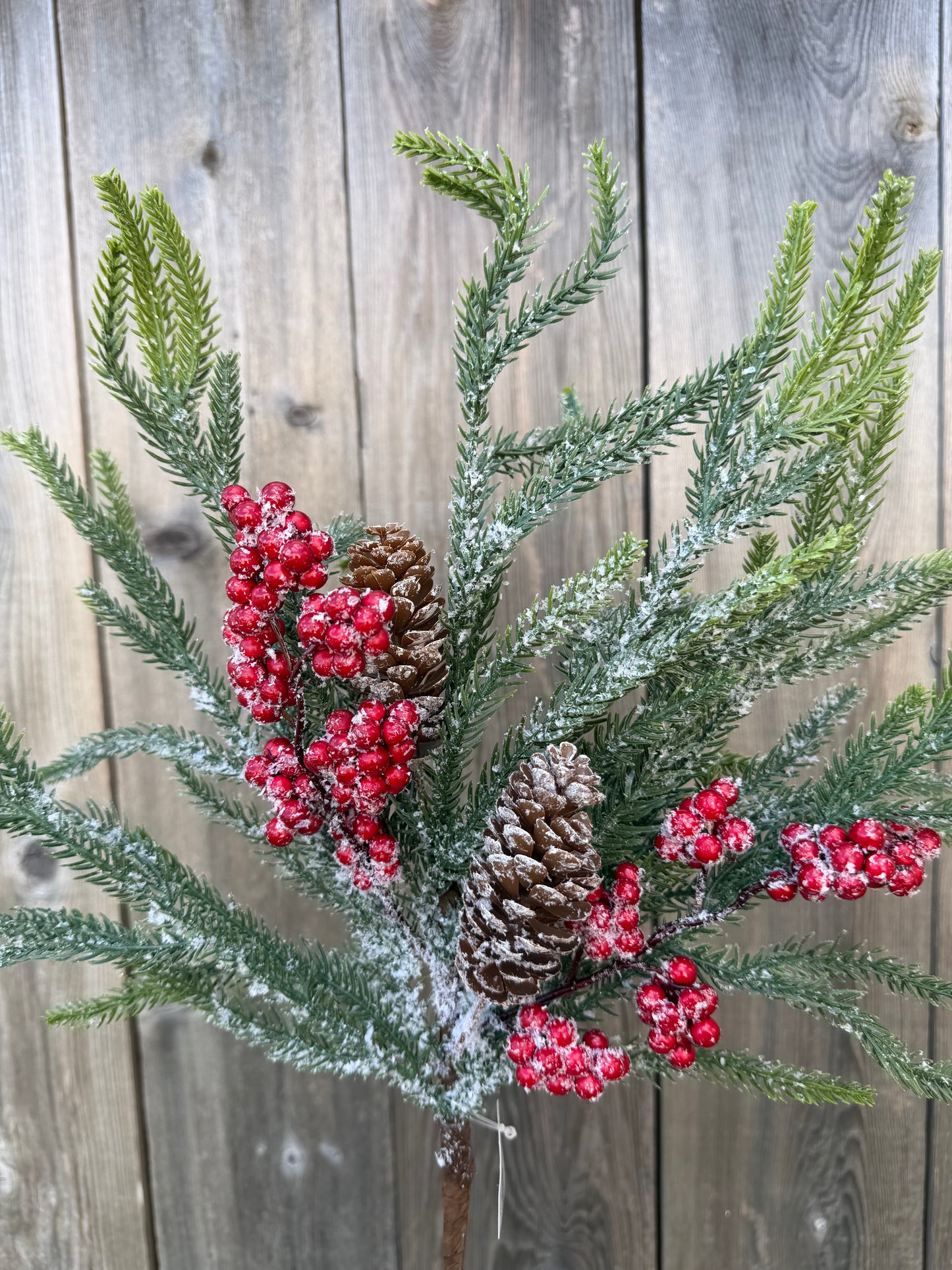 22 IN PINE BERRY CONE BUSH    32125
