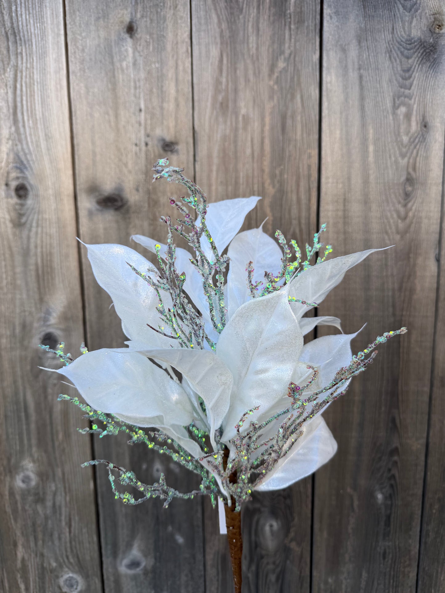 MAGNOLIA LEAF & TWIG       32298-WT