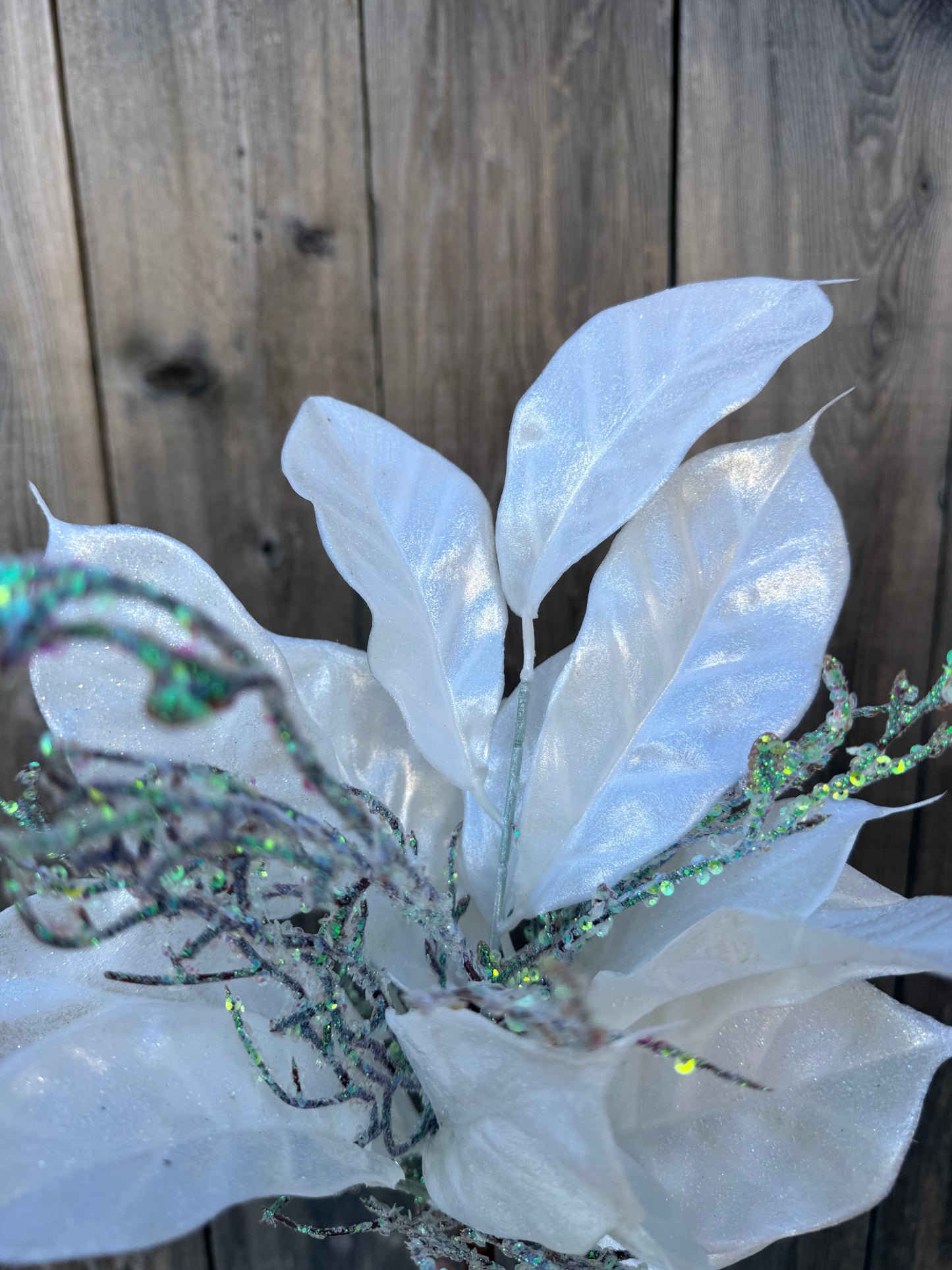 MAGNOLIA LEAF & TWIG       32298-WT