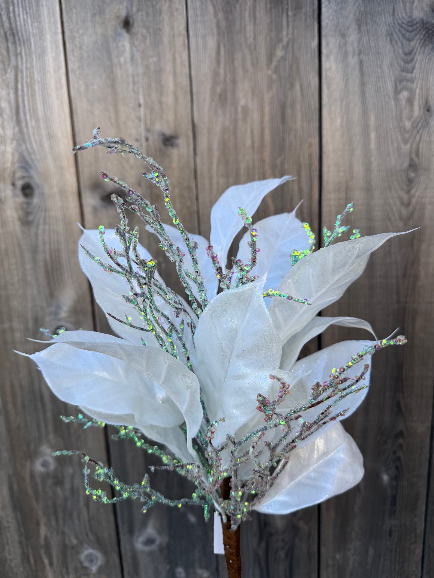 MAGNOLIA LEAF & TWIG       32298-WT