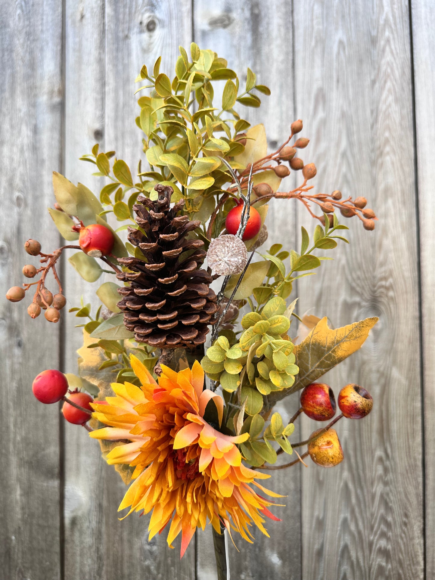 MIXED MAPLE MUM BERRY     21207