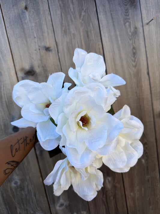 MAGNOLIA BSH W/GLIT CRM   46632