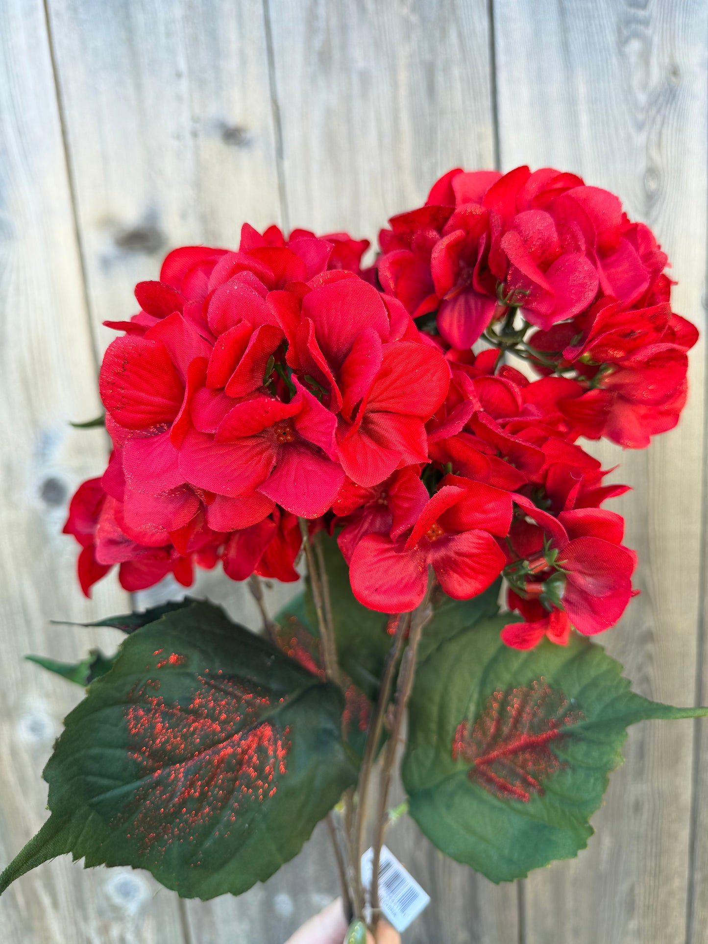 HYDRANGEA BSH W/GLIT RD   46641