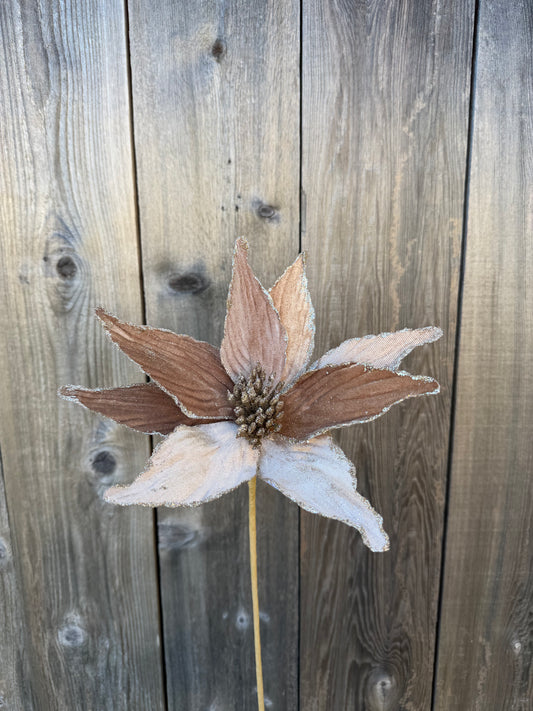 Velvet Poinsettia Stem    86773TAN
