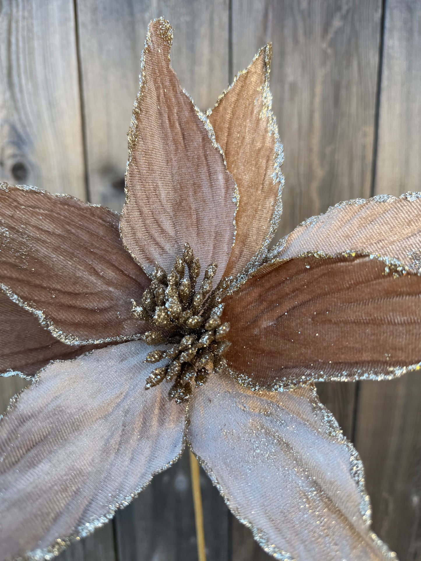 Velvet Poinsettia Stem    86773TAN
