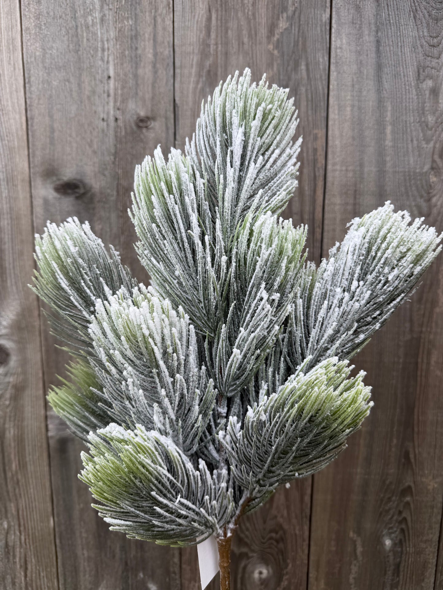 20 IN PINE W SNOW BUSH   85955