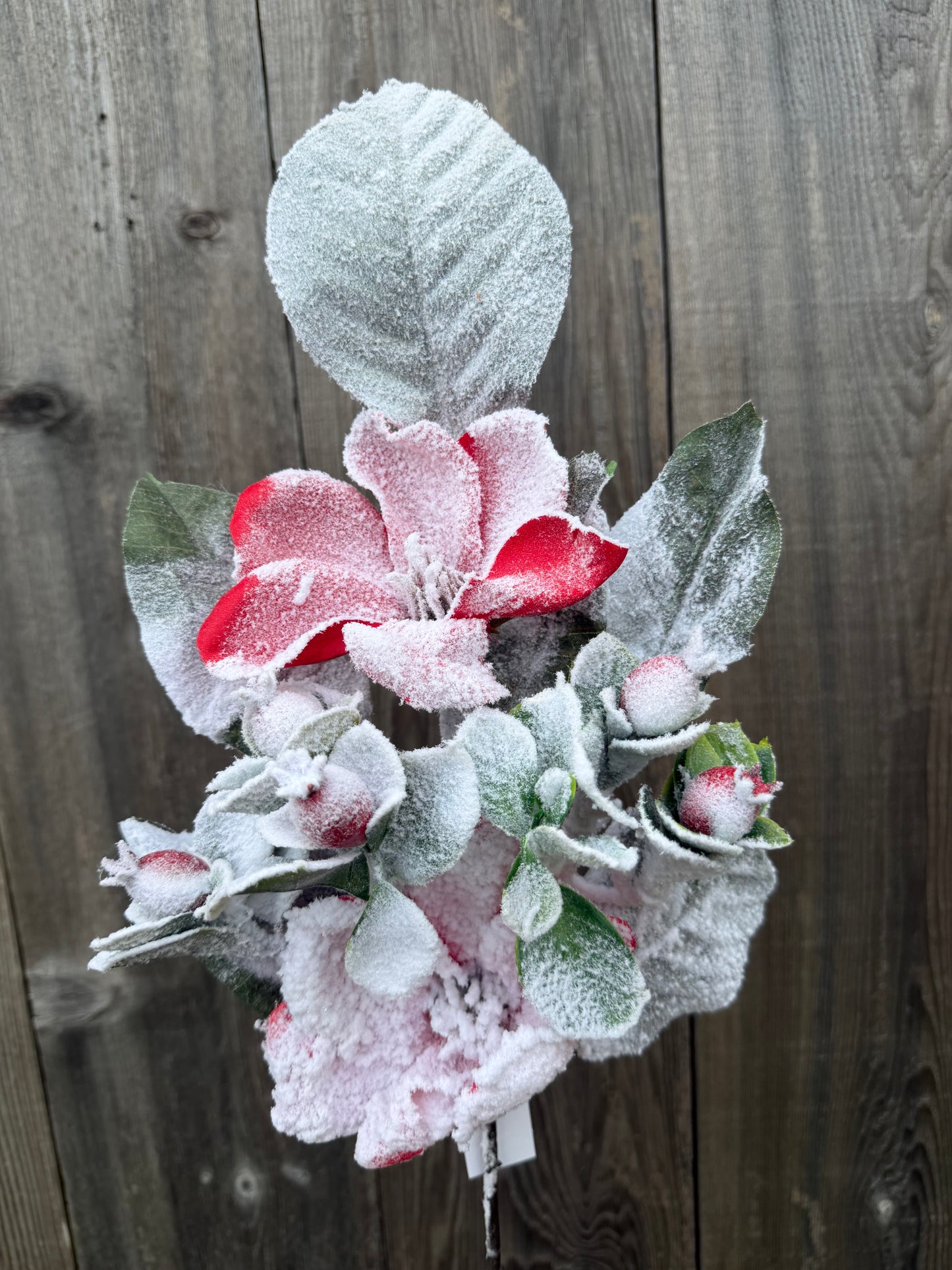 19 IN MAGNOLIA BERRY SPRAY   85411-RD