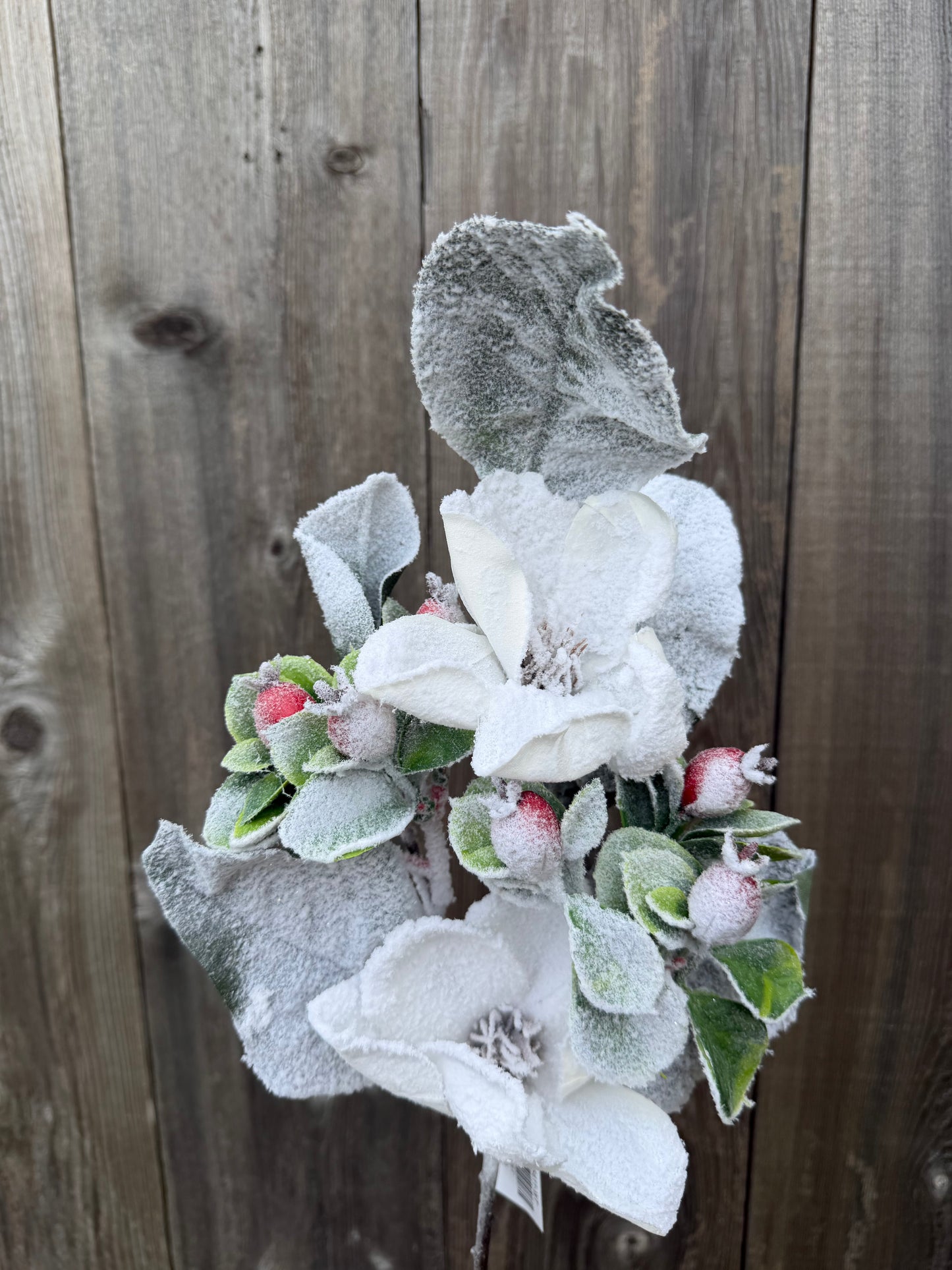 19 IN MAGNOLIA BERRY SPRAY   85411-WT