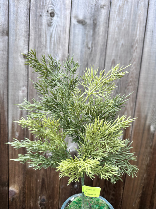 Fern Spray   XP551155-063