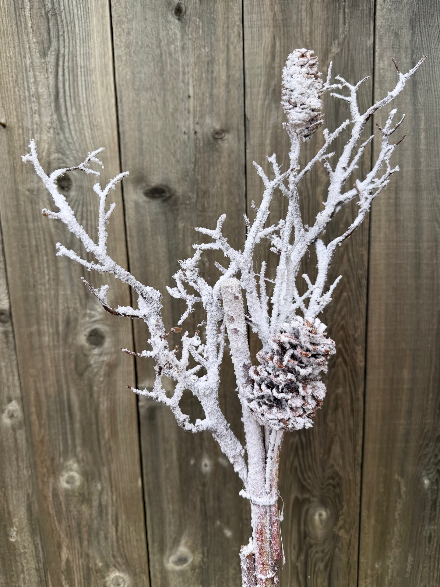 Snow 2-Cone Twig Spray    42294