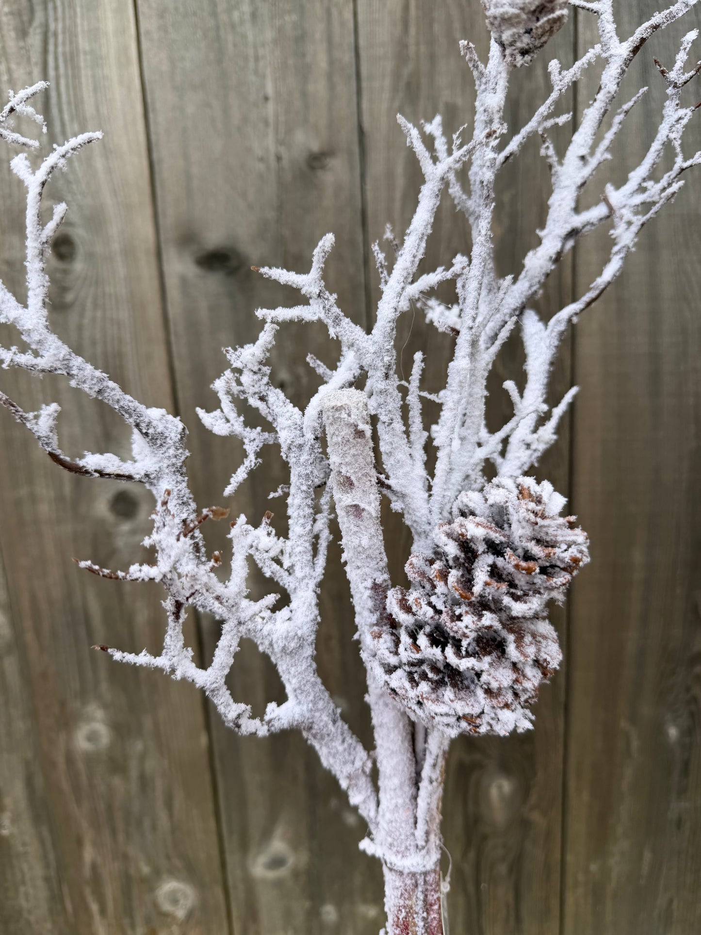 Snow 2-Cone Twig Spray    42294