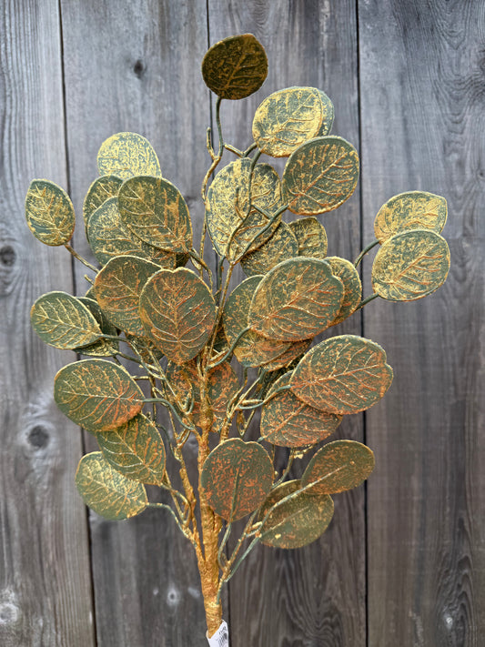Sage Pilea Spray   41702