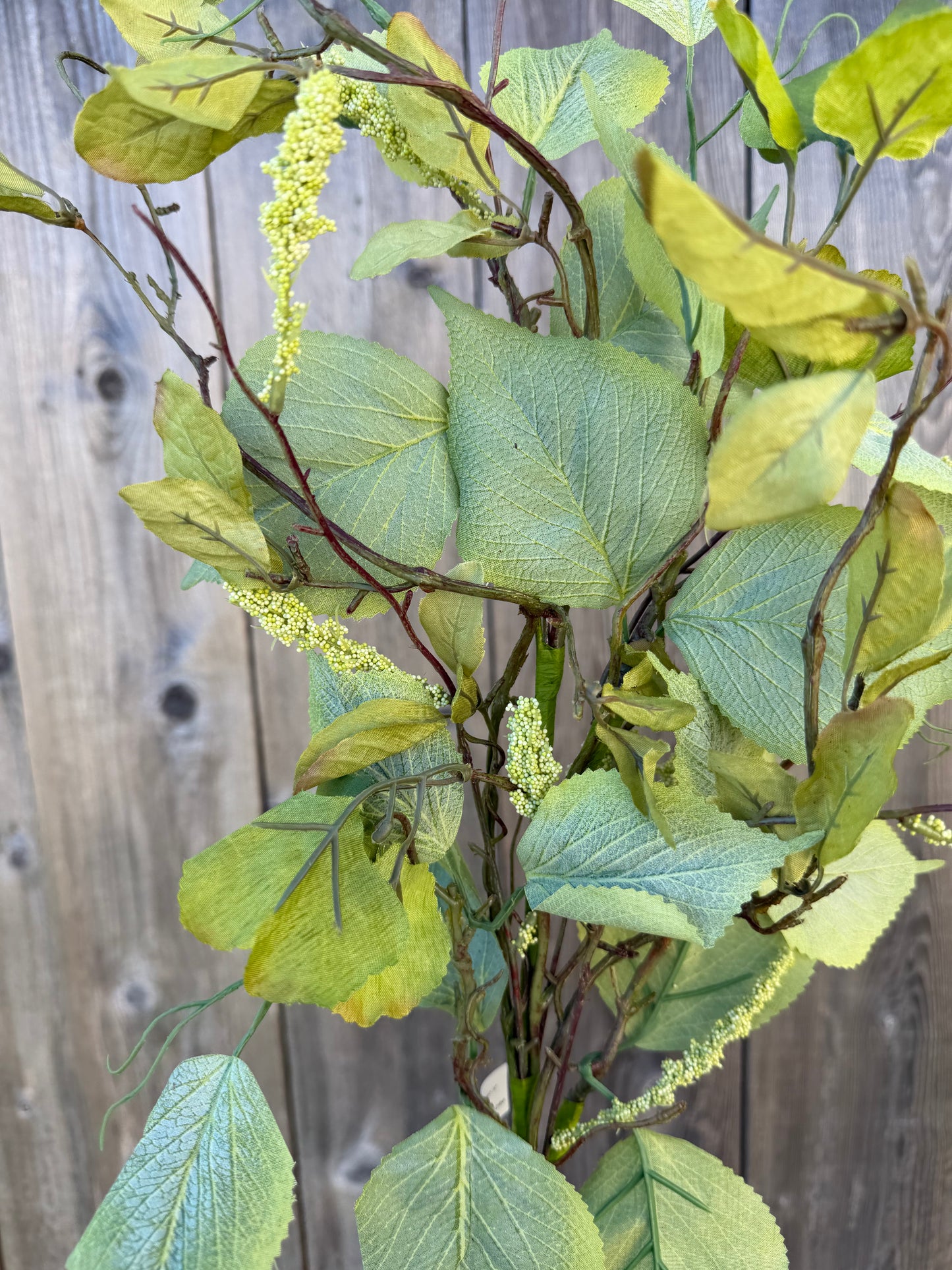 ELM LEAF & TASSEL SEED SPRAY SAGE  PM1982-SG