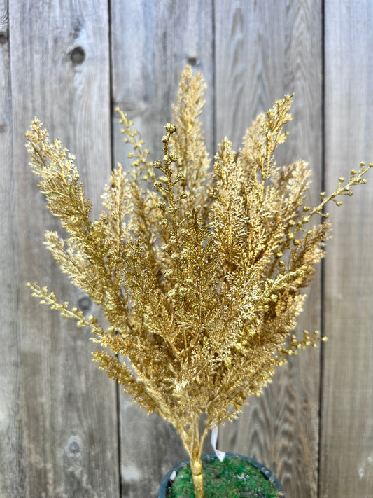 CYPRESS W GLITTER BUSH   84344-GOLD