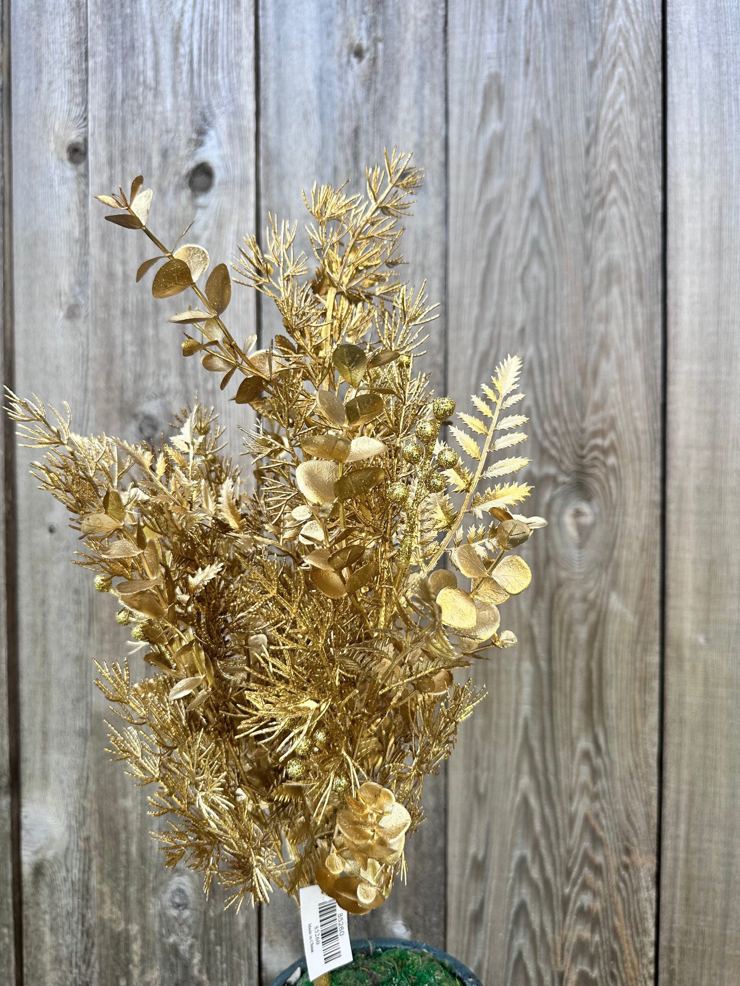 EUCALYPTUS CEDAR FERN     85260