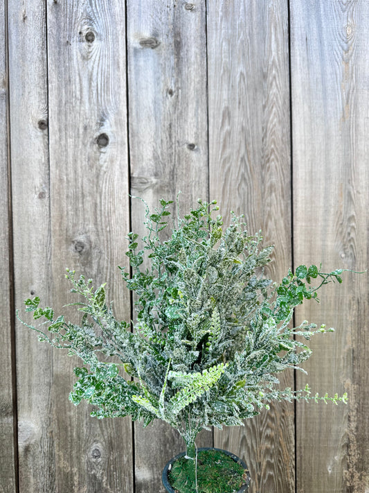 MIXED GREENERY W ICED    85265